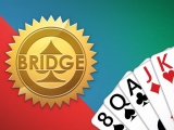 Bridge card game