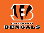 Cincinnati Bengals (AFC North)