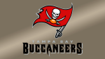 Tampa Bay Buccaneers (NFC South)