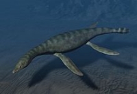 Rhomaleosaurus Sea Dragon 360 VR video