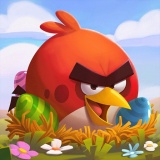 Play Angry Birds game